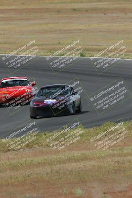 media/May-04-2024-Lucky Dog Racing (Sat) [[d39539b3f3]]/Race Pics/1015am (Turn 2)/